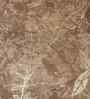 Brown Velvet Floral 16X16 Inches Cushion Covers (5Pcs)