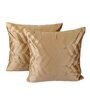 Brown Velvet Solid 16x16 inches Cushion Covers (Pack of 2)