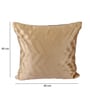 Brown Velvet Solid 16x16 inches Cushion Covers