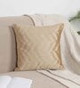 Brown Velvet Solid 16x16 inches Cushion Covers