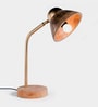 Brown Wood Shade Study Lamp with Brown Base