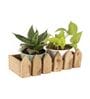 Brown Wood Planter Stand