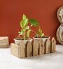 Brown Wood Planter Stand