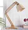Brown Shade Study Lamp with Wood Base