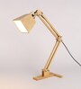 Brown Shade Study Lamp with Wood Base