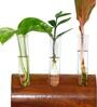 Dark Brown Wall Mount Planter Hanger With Glass Tube