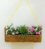 Brown Wooden Planter Stand
