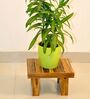 Brown Wooden Wooden Planter Stand