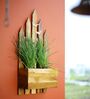 Brown Wooden Wall Mounted Planter Stand