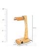 Brown Shade Study Lamp with Wood Base