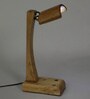 Brown Shade Study Lamp with Wood Base