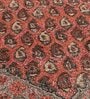 Brown Persian Wool 8 ft x 10 ft Hand Tufted Carpet