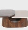 Bruno 2-Tier Center Table In Solid Wood Finish