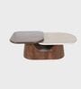 Bruno 2-Tier Center Table In Solid Wood Finish