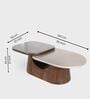 Bruno 2-Tier Center Table In Solid Wood Finish