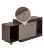 Bruno TV Console In Walnut Finish