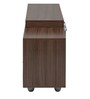 Bruno TV Console In Walnut Finish
