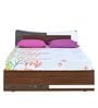 Brussels King Size Bed with Box Storage in Dark Acacia Finish