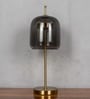 Bryson Smoke Glass Table Lamp Gold Metal Body Tri-Color LED Modern Decorative Bedside Lamp