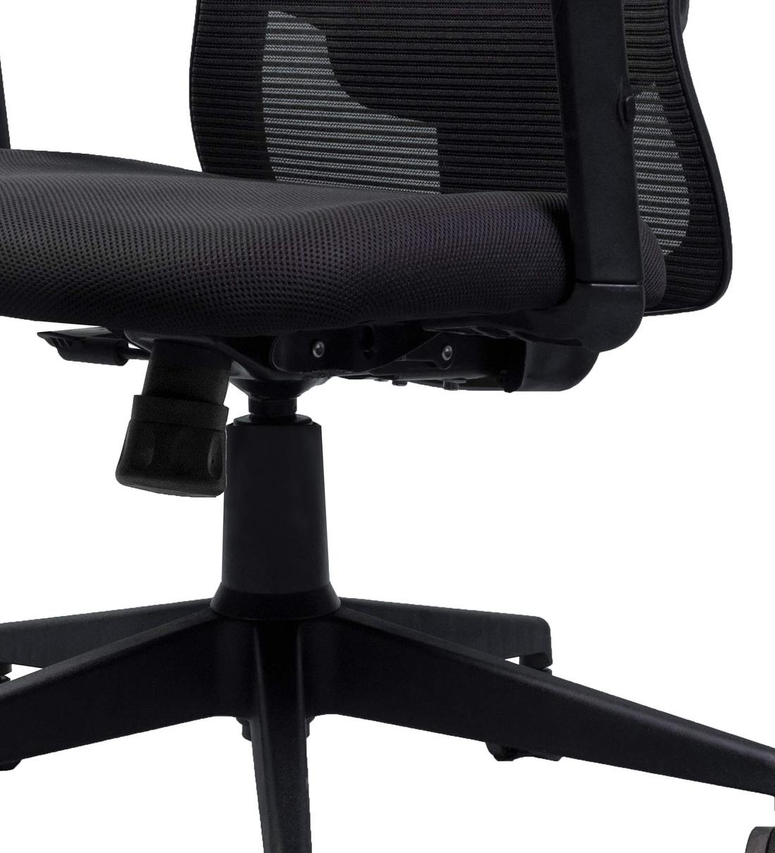 Buy Butterfly Executive Office Chair in Black Colour by Stag Online