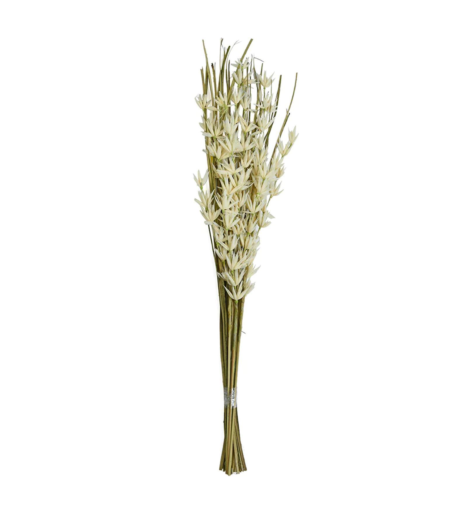 Buds Wicker White & Green Plastic Dry Sticks