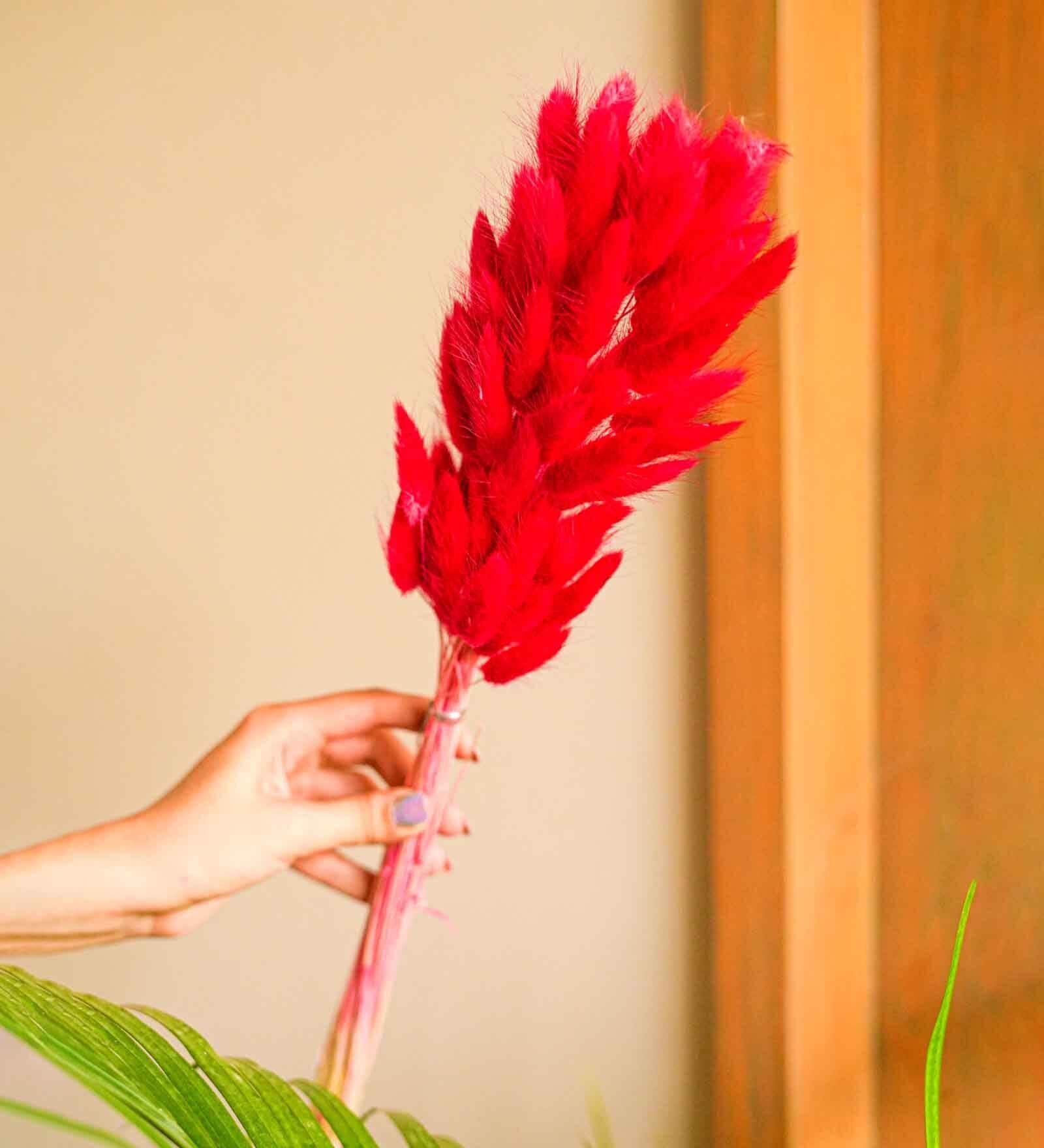 Bunny Meadow Red Dried Flowers Set of 50 Stems