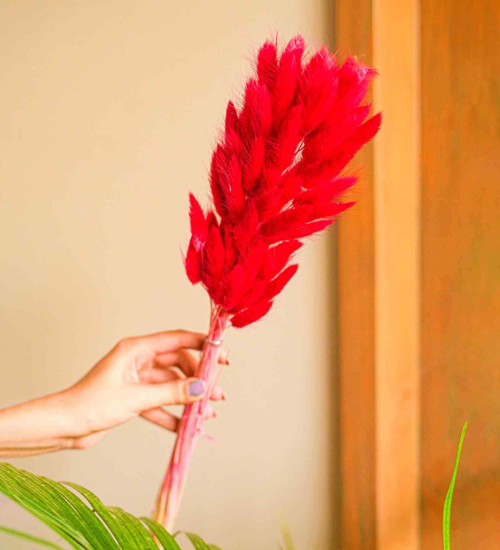 Bunny Meadow Red Dried Flowers Set of 50 Stems