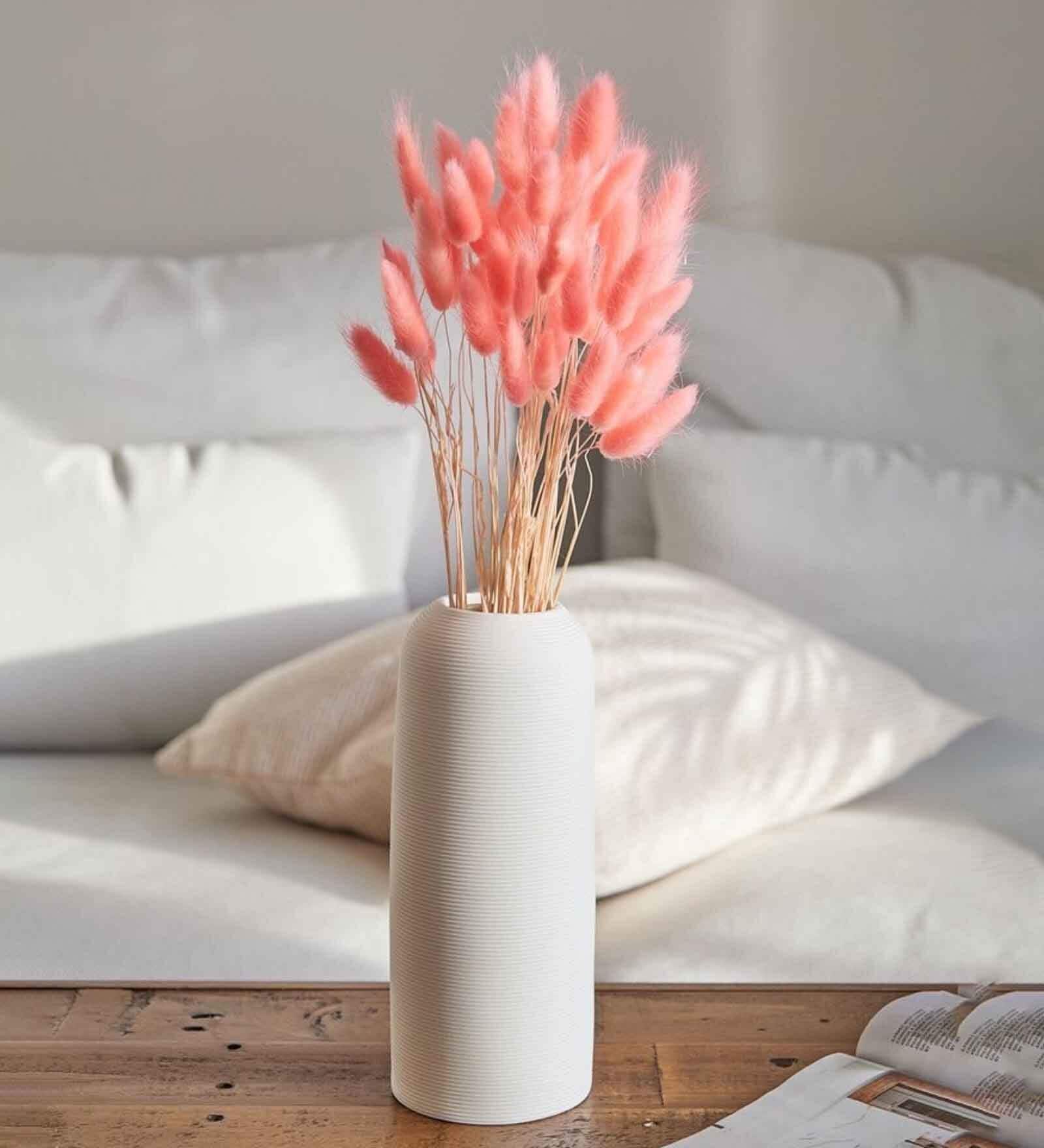 Bunny Tails Pink  Set of 50 Stems Natural Dried Flowers