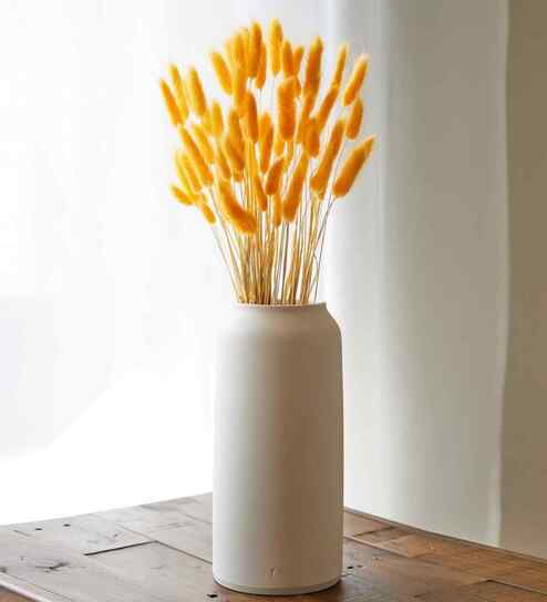 Bunny Meadow Yellow Dried Flowers Set of 50 Stems