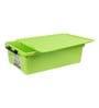 Gooseberries Plastic Kids Storage Box in Green Colour