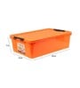 Minty Plastic Kids Storage Box in Orange Colour