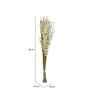 Buds Wicker White & Green Plastic Dry Sticks