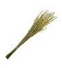 Buds Wicker White & Green Plastic Dry Sticks