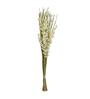 Buds Wicker White & Green Plastic Dry Sticks