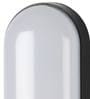 Xander Black PVC & Acrylic Outdoor Wall Light