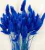 Bunny Meadow Blue Dried Flowers Set of 50 Stems