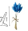 Bunny Meadow Blue Dried Flowers Set of 50 Stems