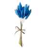 Bunny Meadow Blue Dried Flowers Set of 50 Stems