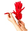 Bunny Meadow Red Dried Flowers Set of 50 Stems