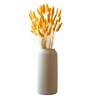 Bunny Meadow Yellow Dried Flowers Set of 50 Stems