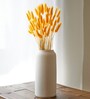 Bunny Meadow Yellow Dried Flowers Set of 50 Stems