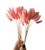 Bunny Tails Pink  Set of 50 Stems Natural Dried Flowers