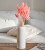 Bunny Tails Pink  Set of 50 Stems Natural Dried Flowers
