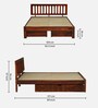Buren Sheesham Wood Queen Size Bed In Honey Oak  Finish With Drawer Storage