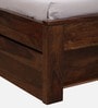 Buren Sheesham Wood Queen Size Bed In Provincial Teak Finish With Drawer Storage