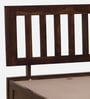 Buren Sheesham Wood Single Bed In Provincial Teak Finish With Box Storage
