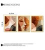Terracotta Abstract Wall Art Framed Set of 3