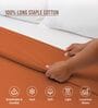 Burnt Orange Solid 400 TC Cotton Double Sized Duvet Cover
