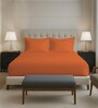 Burnt Orange Solid 400 TC Cotton Queen Sized Fitted sheet with 2 Pillow Covers
