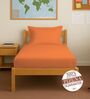 Burnt Orange Solid 400 TC Cotton Single Sized Fitted sheet with 1 Pillow Cover